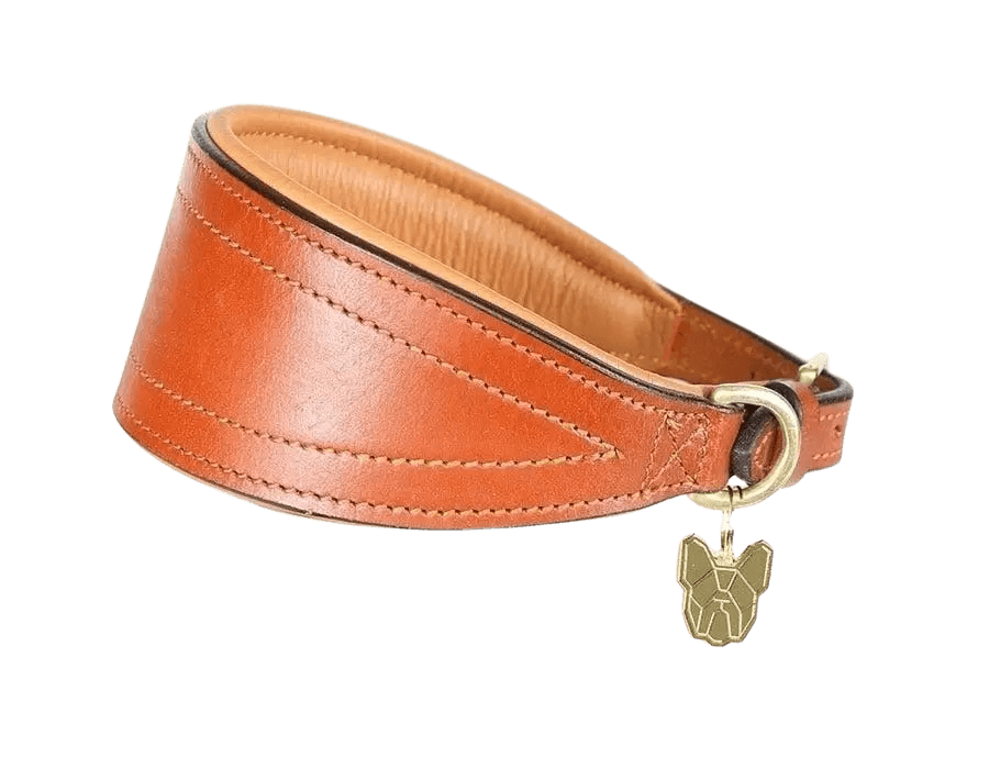 Tan Digby & Fox Padded Greyhound Collar with cushioned leather interior and brass charm, designed for sighthound comfort and durability.