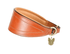 Tan Digby & Fox Padded Greyhound Collar with cushioned leather interior and brass charm, designed for sighthound comfort and durability.