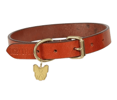 Tan Digby & Fox Flat Leather Dog Collar with brass buckle and gold dog tag, combining elegance and strength for pet collars.