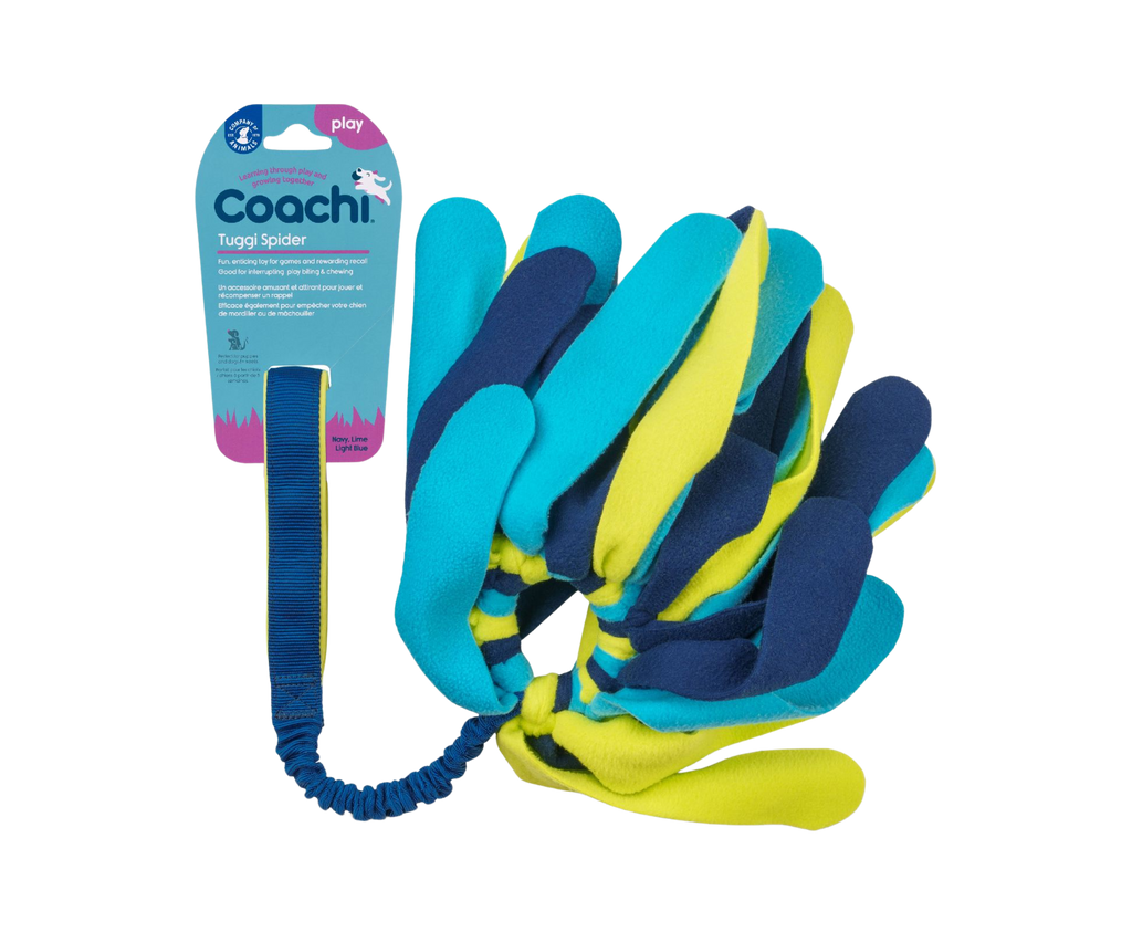 CoA Coachi Tuggi Spider