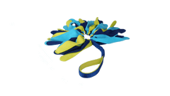 CoA Coachi Tuggi Spider