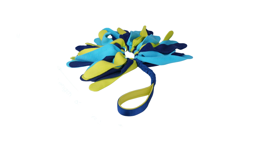 CoA Coachi Tuggi Spider