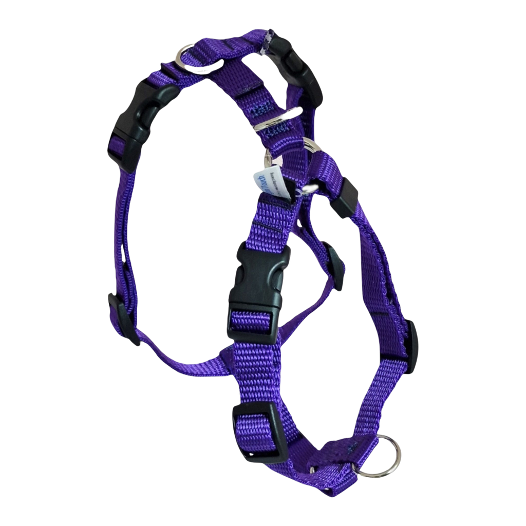 TTouch Harness - purple