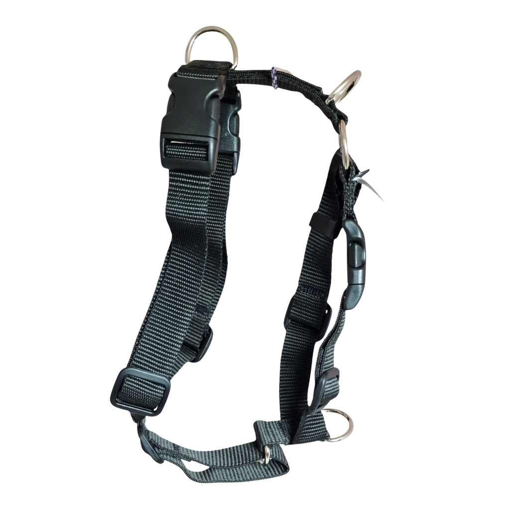TTouch Harness - Black