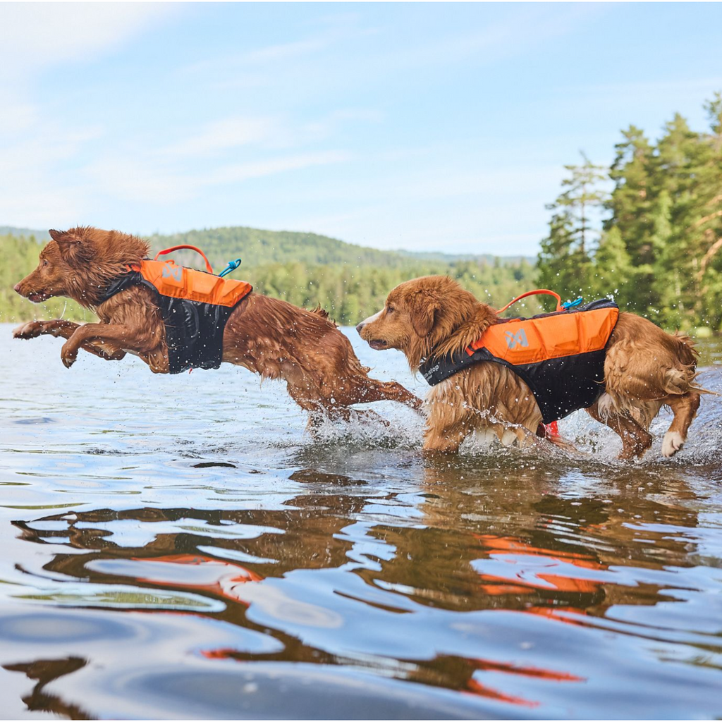 Non-stop dogwear Protector life jacket - Life Jacket for Dogs