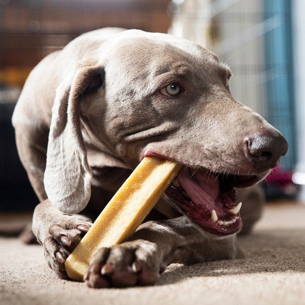 Petello Himalayan Yak Cheese Dog Chews