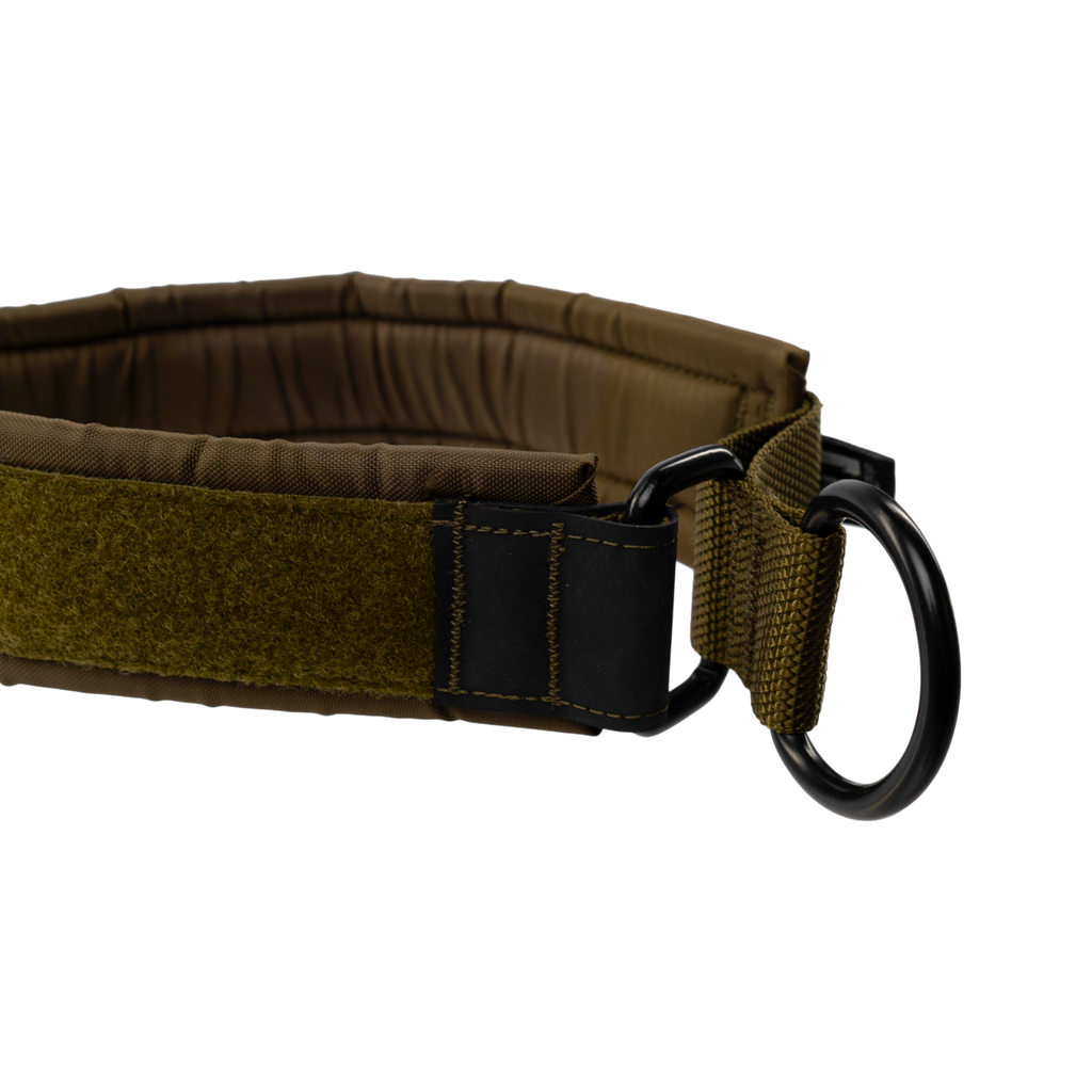 Solid working Dog Collar features 1