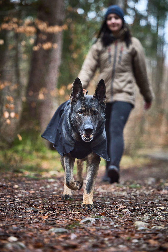 Non-stop dogwear Trekking Dog Raincoat