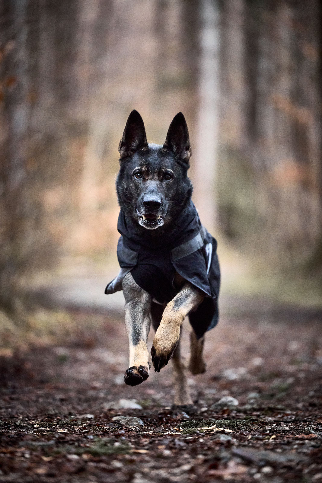 Non-stop dogwear Trekking Dog Raincoat