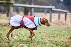 Non-stop dogwear Trekking Fleece
