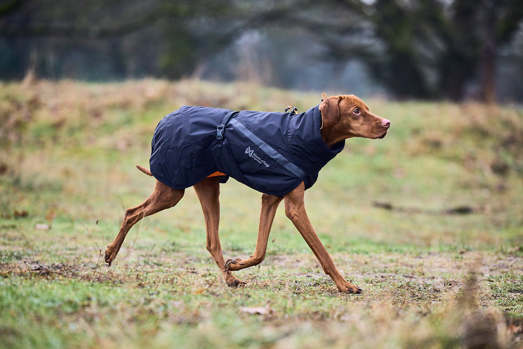 Non-stop dogwear Trekking Insulated Dog Jacket