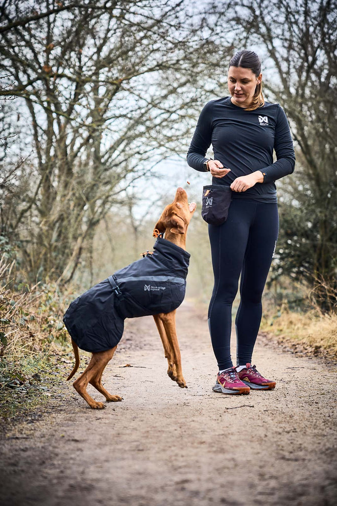 Non-stop dogwear Trekking Insulated Dog Jacket