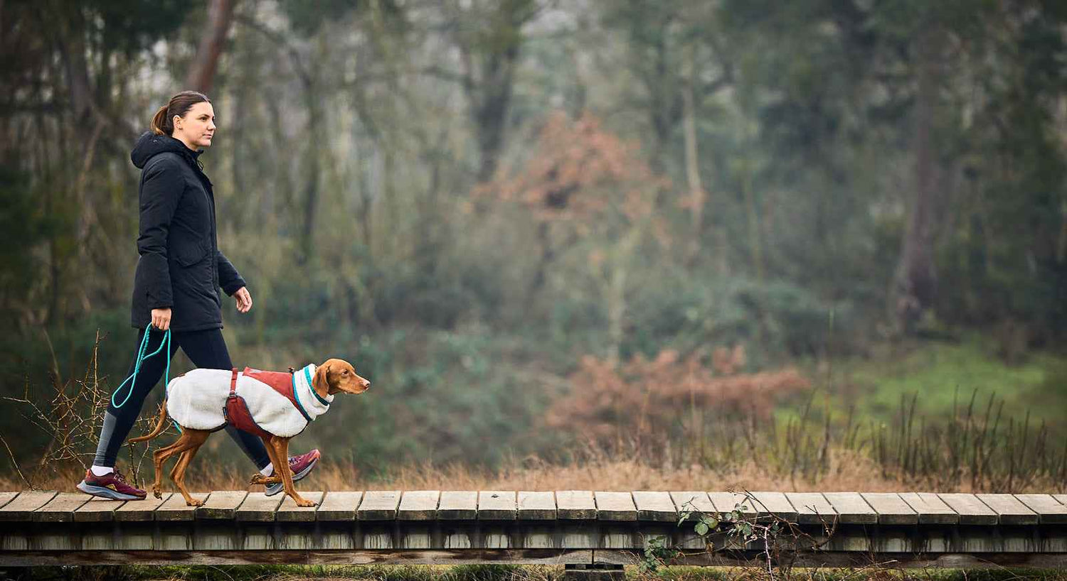 Non-stop dogwear Trekking rope leash