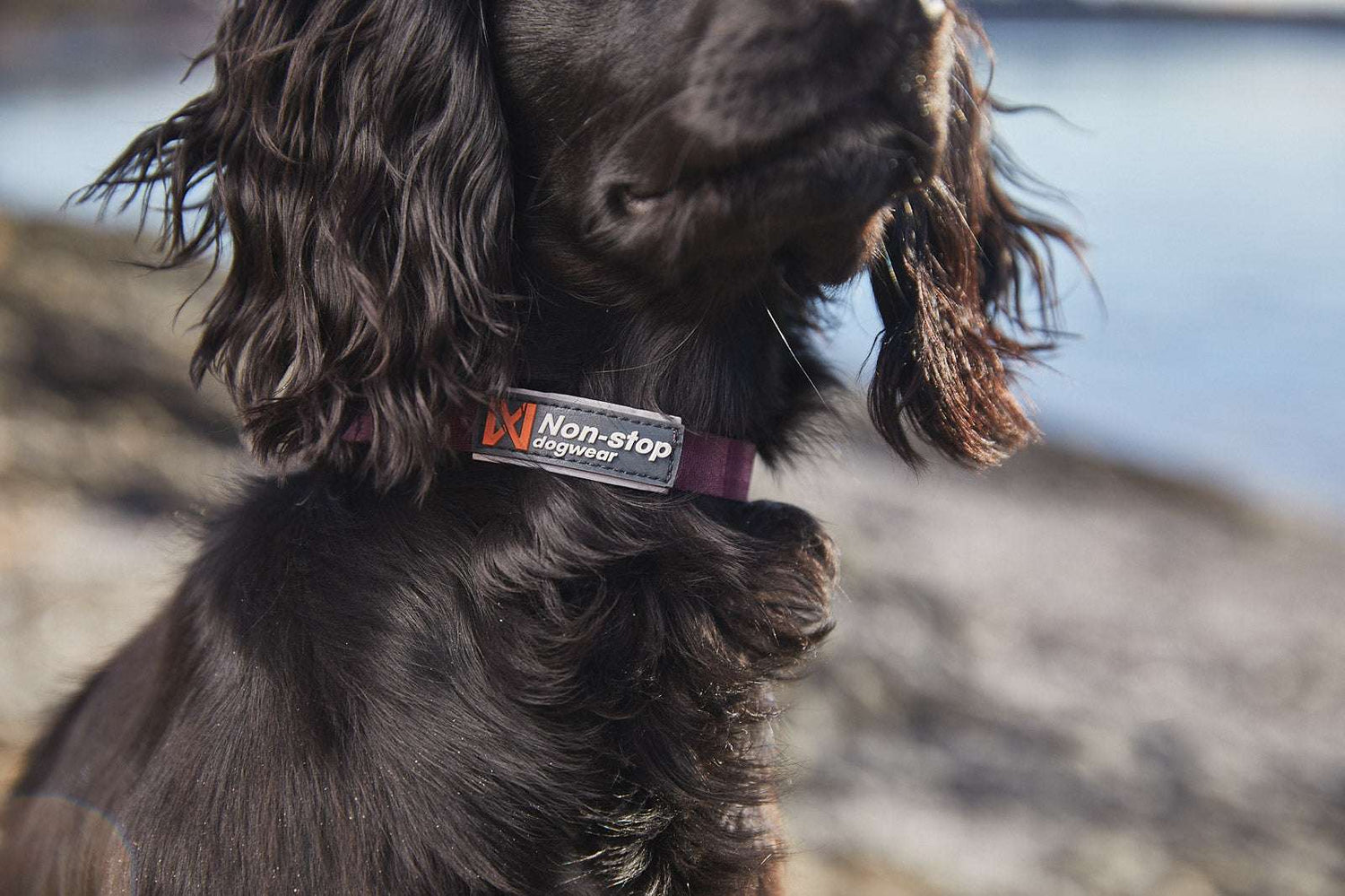 Non-stop dogwear Tumble Collar