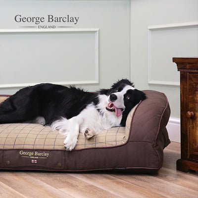 George Barclay Country Dog Sofa Bed - Chestnut Brown