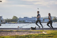 Non-stop dogwear Touring bungee