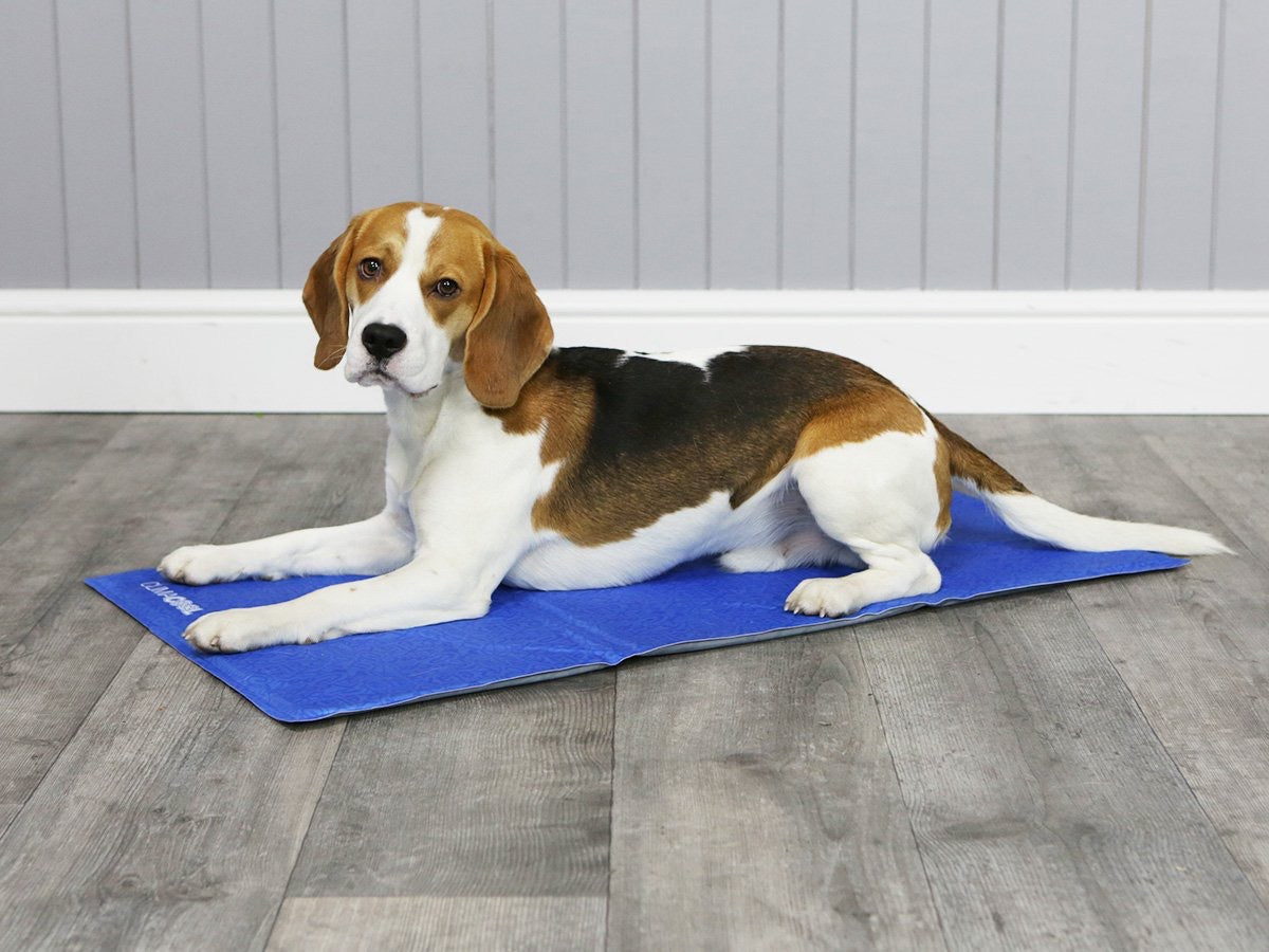 George Barclay ClimaCOOL Self Cooling Dog Mat