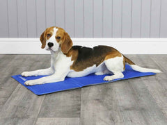 Beagle resting on George Barclay ClimaCOOL Self Cooling Dog Mat, designed for effective cooling during warm weather indoors.