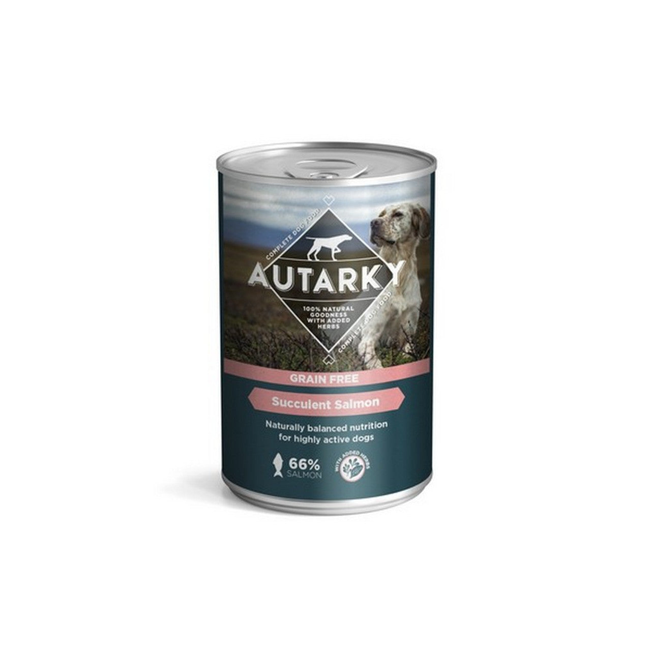 Autarky Delicious Salmon Complete Wet Dog Food 395g