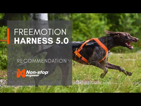 Non-stop dogwear Freemotion harness 5.0, Video