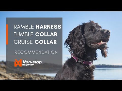 Non-stop dogwear Tumble Collar Video