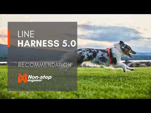Non-stop dogwear Line harness 5.0 video