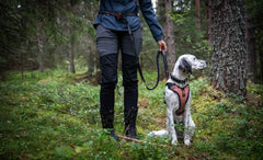 Non-stop dogwear Touring bungee adjustable